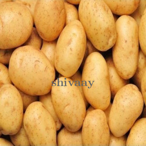 Farm Fresh Potato