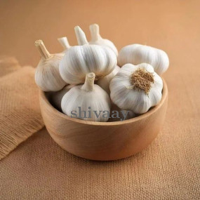 Fresh Garlic Bulbs