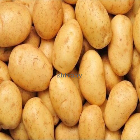 Farm Fresh Potato