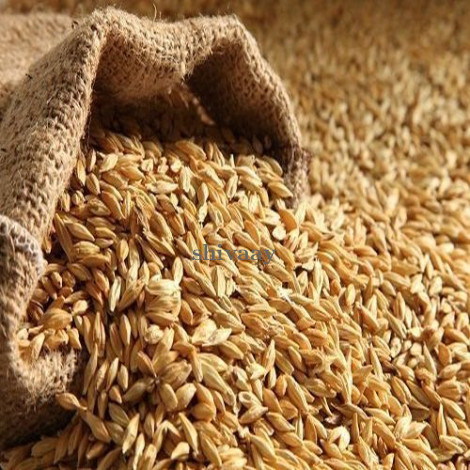 Natural Feed Barley