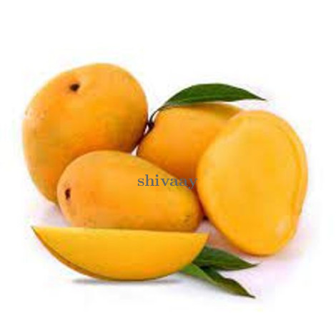 Fresh Juicy Mango