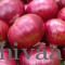 Fresh Red Onion