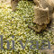 Green Moong Dal