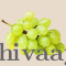 Fresh Green Grapes