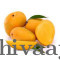 Fresh Juicy Mango