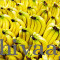 Fresh Yellow Banana